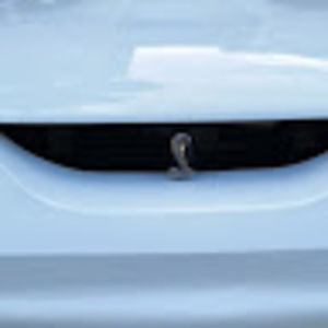 Meet your Posher, Bobby